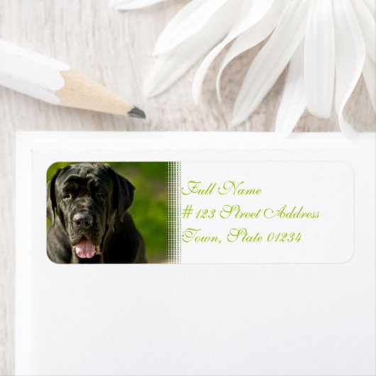 Black Mastiff Mailing Labels (Insitu)