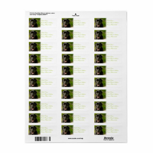 Black Mastiff Mailing Labels (Vorne)