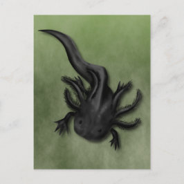 Black Melanoid Axolotl Art Postkarte