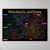 Black Metabolic pathway of the cell Poster (Vorne)