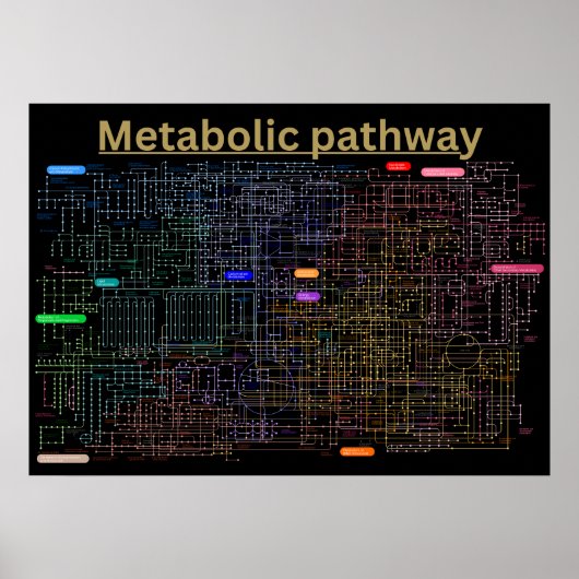 Black Metabolic pathway of the cell Poster (Vorne)