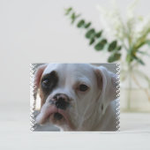 Black Mit Augen Boxer Dog Postkarte (Stehend Vorderseite)