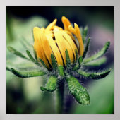 Black Mit Augen Susan Awakening Poster (Vorne)