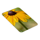 Black Mit Augen Susan Blume Magnet (Rechte Seite)