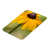 Black Mit Augen Susan Blume Magnet (Linke Seite)