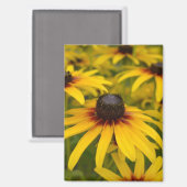 Black Mit Augen Susan Blume Magnet (Vorderseite/Rückseite)