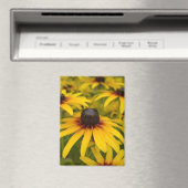 Black Mit Augen Susan Blume Magnet (In Situ (Geschirrspüler))