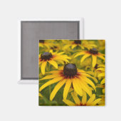 Black Mit Augen Susan Blume Magnet (Vorderseite/Rückseite)