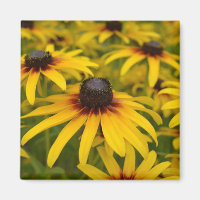 Black Mit Augen Susan Blume