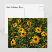 Black Mit Augen Susan Blume Postkarte (Vorne/Hinten)