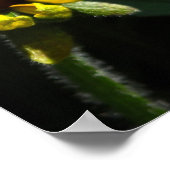 Black Mit Augen Susan Daisies Poster (Ecke)
