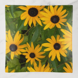 Black Mit Augen Susan Dekoschale