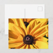 Black Mit Augen Susan Postcard Postkarte (Vorne/Hinten)