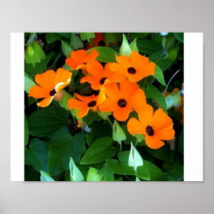 Black Mit Augen Susan Poster