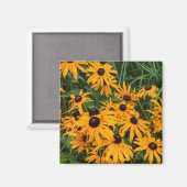 Black Mit Augen Susans Magnet (Vorderseite/Rückseite)