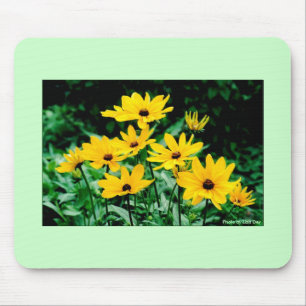Black Mit Augen Susans Mousepad
