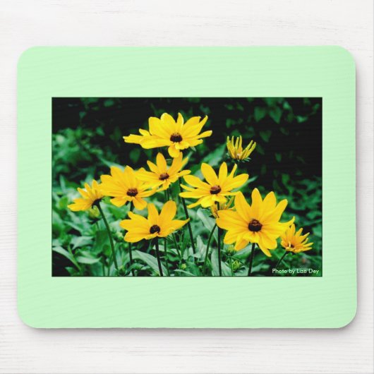 Black Mit Augen Susans Mousepad (Vorne)