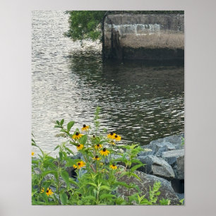 Black-mit Augen Susans River Poster