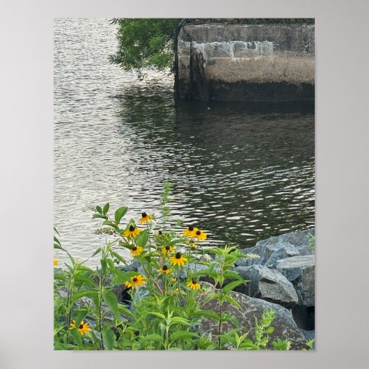 Black-mit Augen Susans River Poster (Vorne)