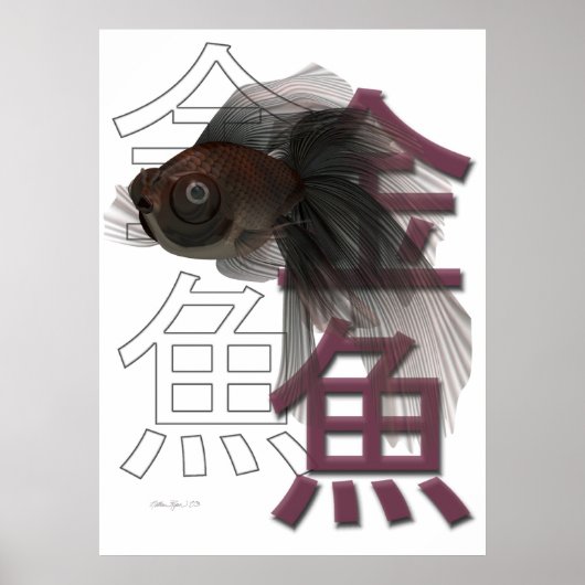 Black Moor Poster (Vorne)