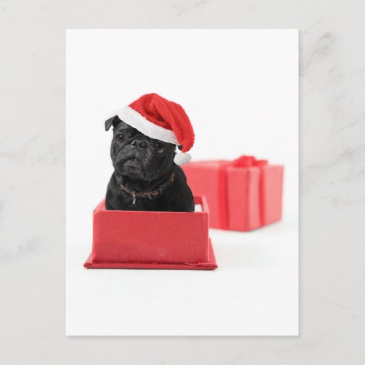 Black Mops Hunde Geschenk Postkarte (Vorderseite)