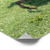 Black Morgan Hallion Mane und Schwanz fließen Poster (Ecke)