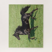 Black Morgan Hallion Mane und Schwanz fließen Puzzle (Vertikal)