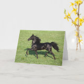 Black Morgan Stallion Mane and Tail Flowing Karte (Gelbe Blume)