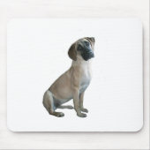 Black Mouth Cur #1 Mousepad (Vorne)