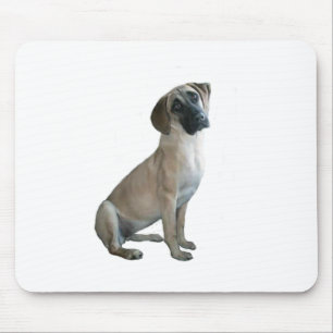 Black Mouth Cur #1 Mousepad