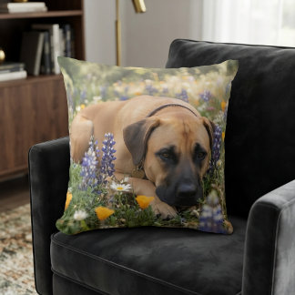 Black Mouth Cur Hund Kissen