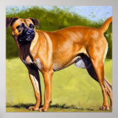 Black Mouth Cur Hund Poster (Vorne)