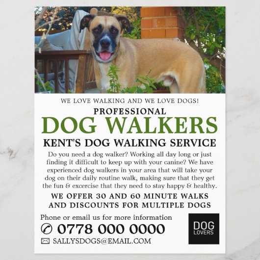 Black Mouth Cur, Hunde Walker Service Werbung Flyer (Vorne)
