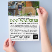 Black Mouth Cur, Hunde Walker Service Werbung Flyer (Hand)