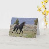 Black Mustang Stallion Faltenkarte Karte (Gelbe Blume)