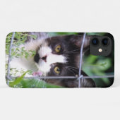 Black n White Tuxedo Kitten im Garten Case-Mate iPhone Hülle (Rückseite (Horizontal))