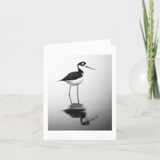 Black-necked Stilt Notecard Karte