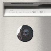Black Newf Cartoon Magnet (In Situ (Geschirrspüler))