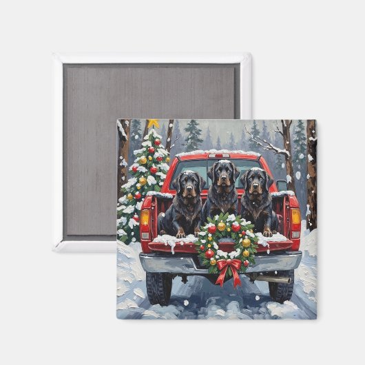 Black Newfoundland Christmas Red Truck Holiday Magnet (Vorderseite/Rückseite)