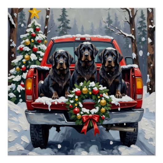 Black Newfoundland Christmas Red Truck Holiday Poster (Vorderseite)