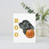 Black Newfundland Boo Postkarte (Stehend Vorderseite)