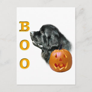 Black Newfundland Boo Postkarte