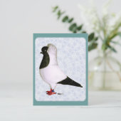 Black Nun Pigeon 1973 Postkarte (Stehend Vorderseite)