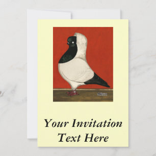 Black Nun Pigeon Einladung