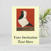 Black Nun Pigeon Einladung (Stehend Vorderseite)