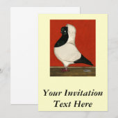 Black Nun Pigeon Einladung (Vorne/Hinten)