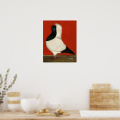 Black Nun Pigeon Poster (Küche)