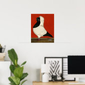 Black Nun Pigeon Poster (Heimbüro)