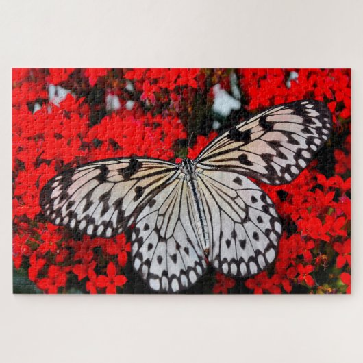 Black Nymph Butterfly . Puzzle (Horizontal)