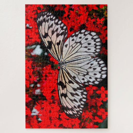 Black Nymph Butterfly . Puzzle (Vertikal)